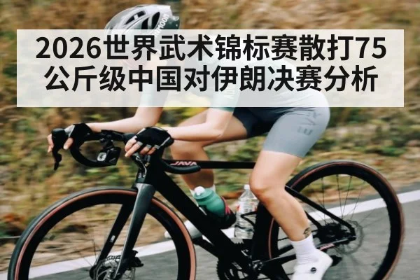 2026世界武术锦标赛散打75公斤级中国对伊朗决赛分析